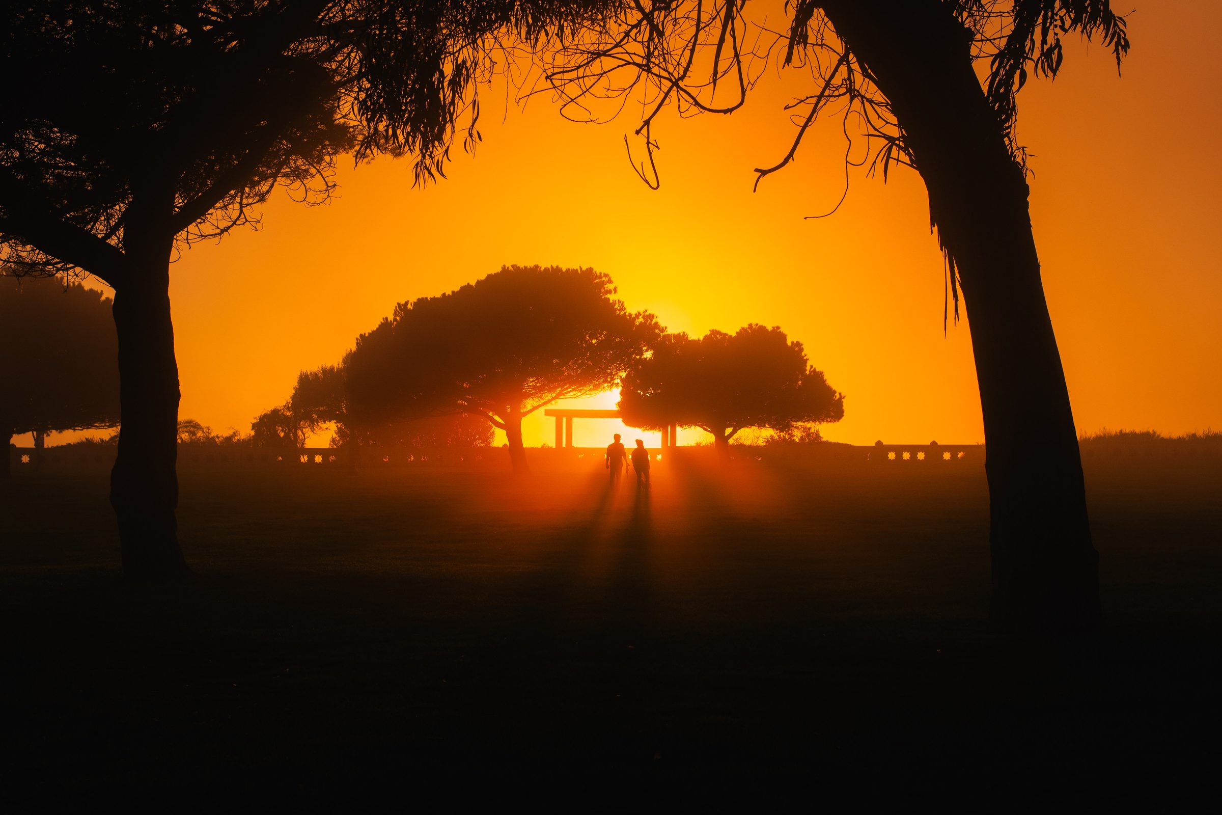 Trees and a few figures in silhouette against a low orange sun, light rays spreading through the haze.