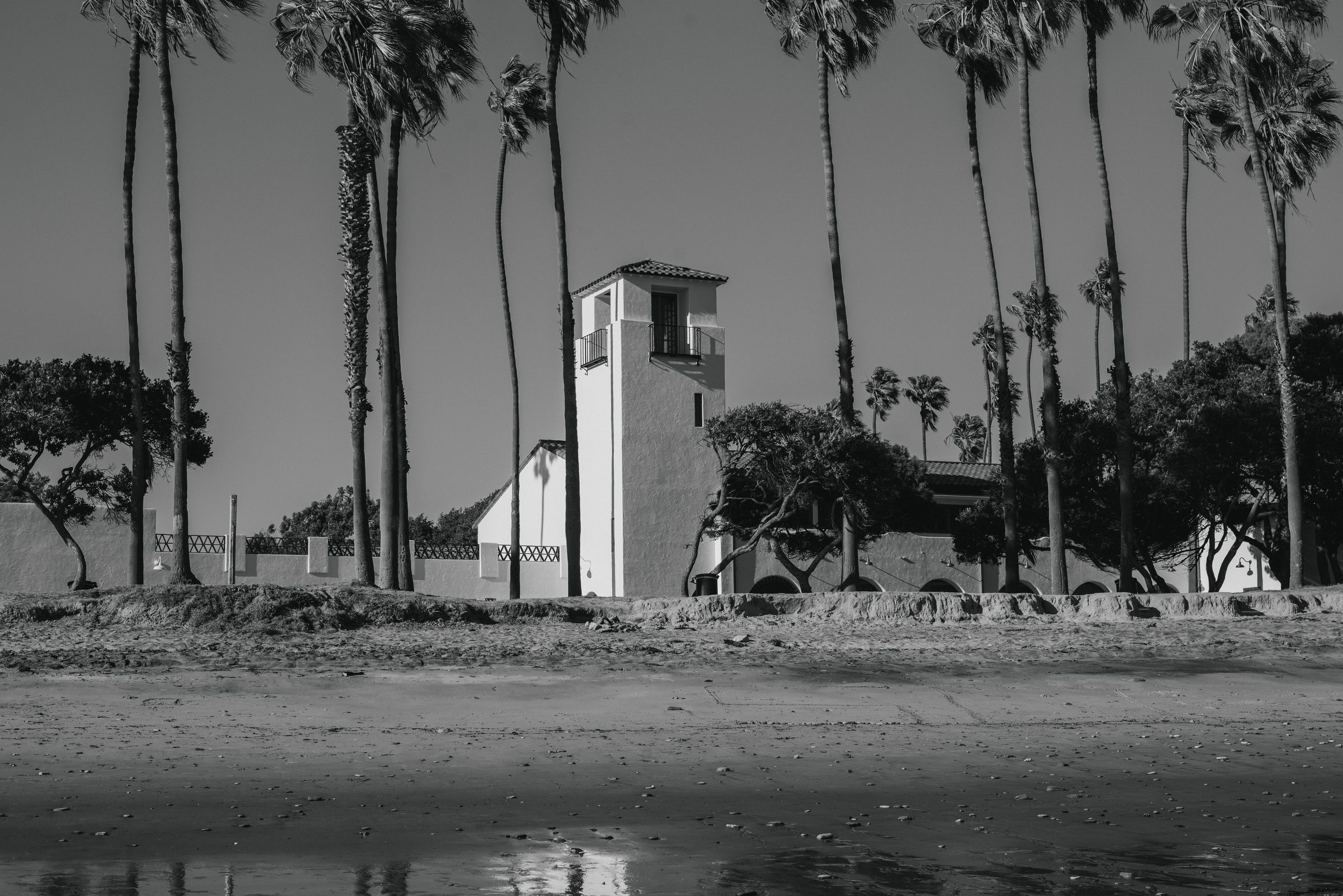 Black-and-white view of the white bell tower of the Cabrillo Beach Bathhouse behind a row of tall palms, seen across a wet beach.