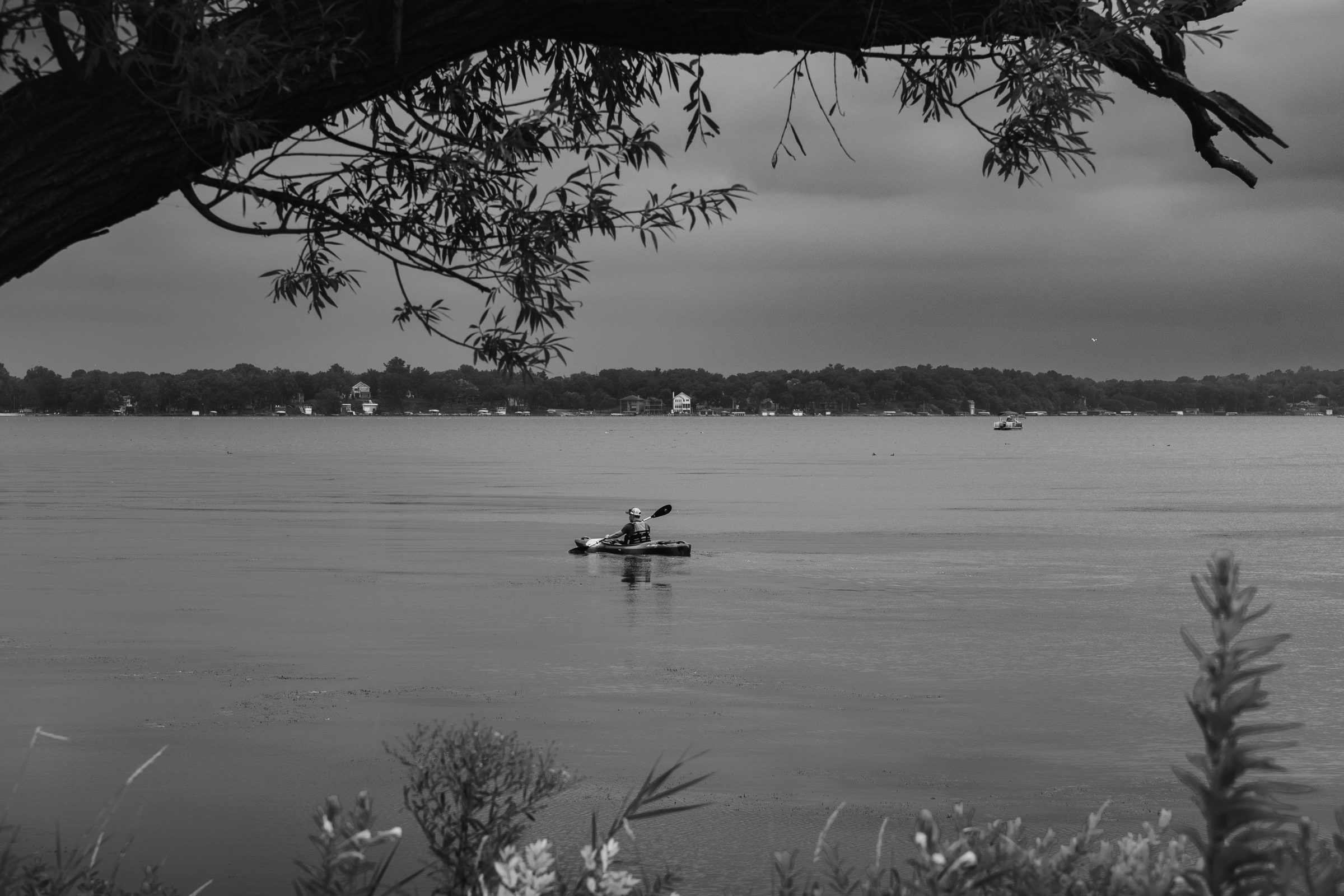 Black-and-white view of a lone kayaker on Lake Monona, framed by an overhanging willow branch above and wildflowers along the shore below.