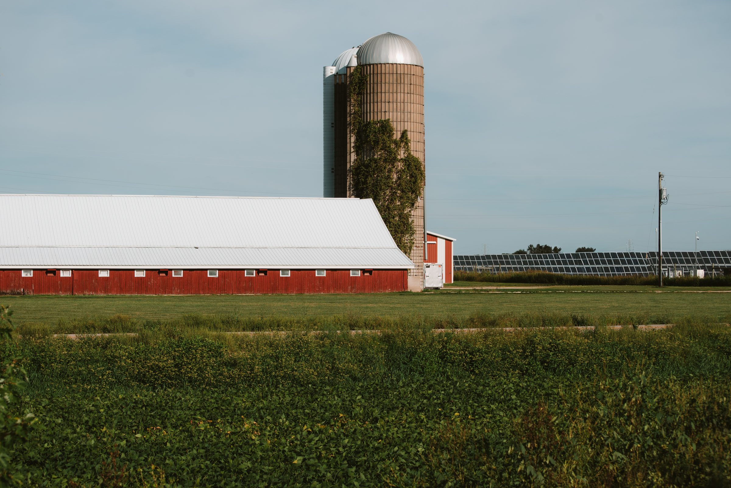 A long red barn with a white metal roof and a vine-covered silo behind a green field, with rows of solar panels stretching off to the right.