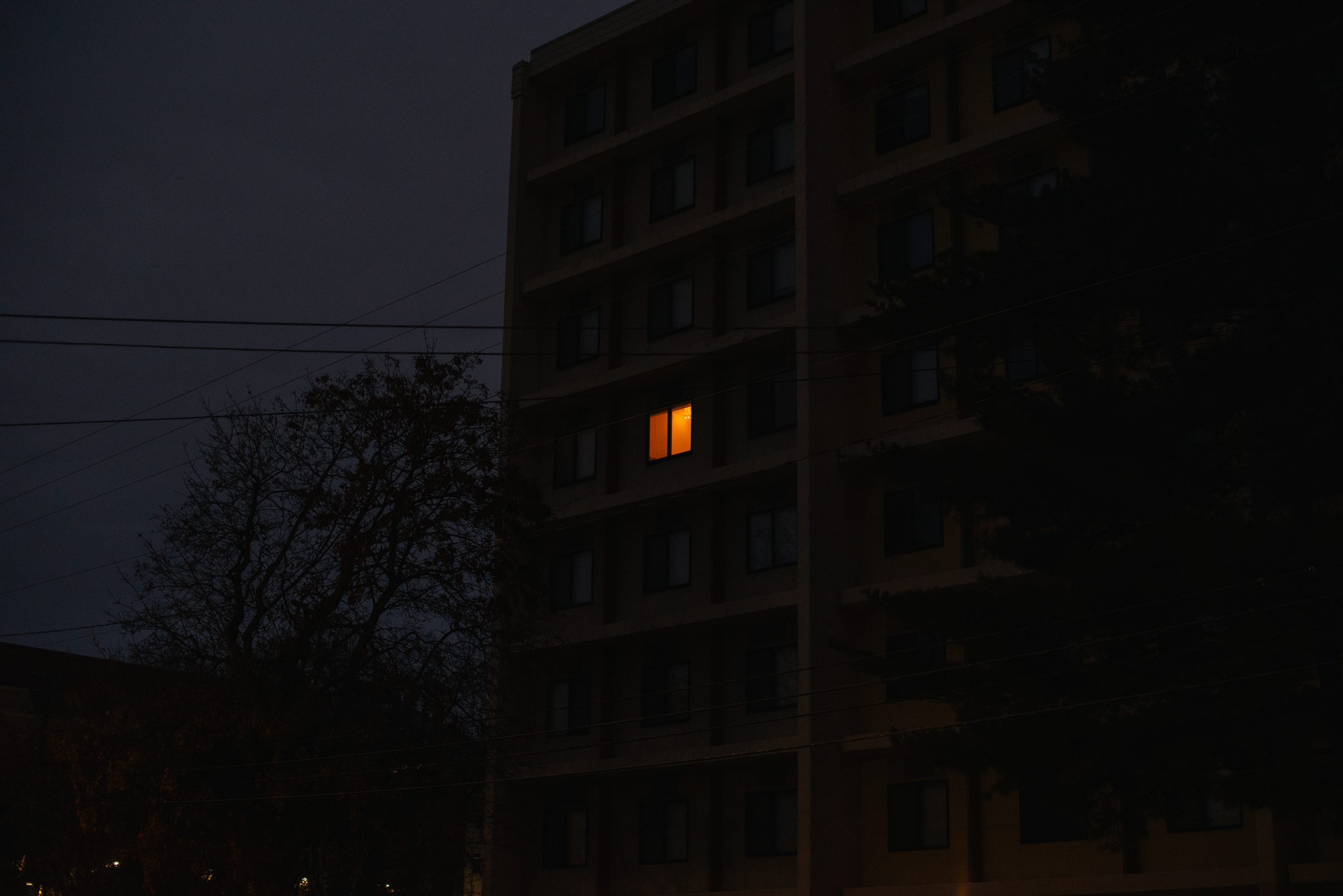 A dark apartment building at dusk with a single window glowing orange among rows of unlit ones, and a bare tree silhouetted beside it.