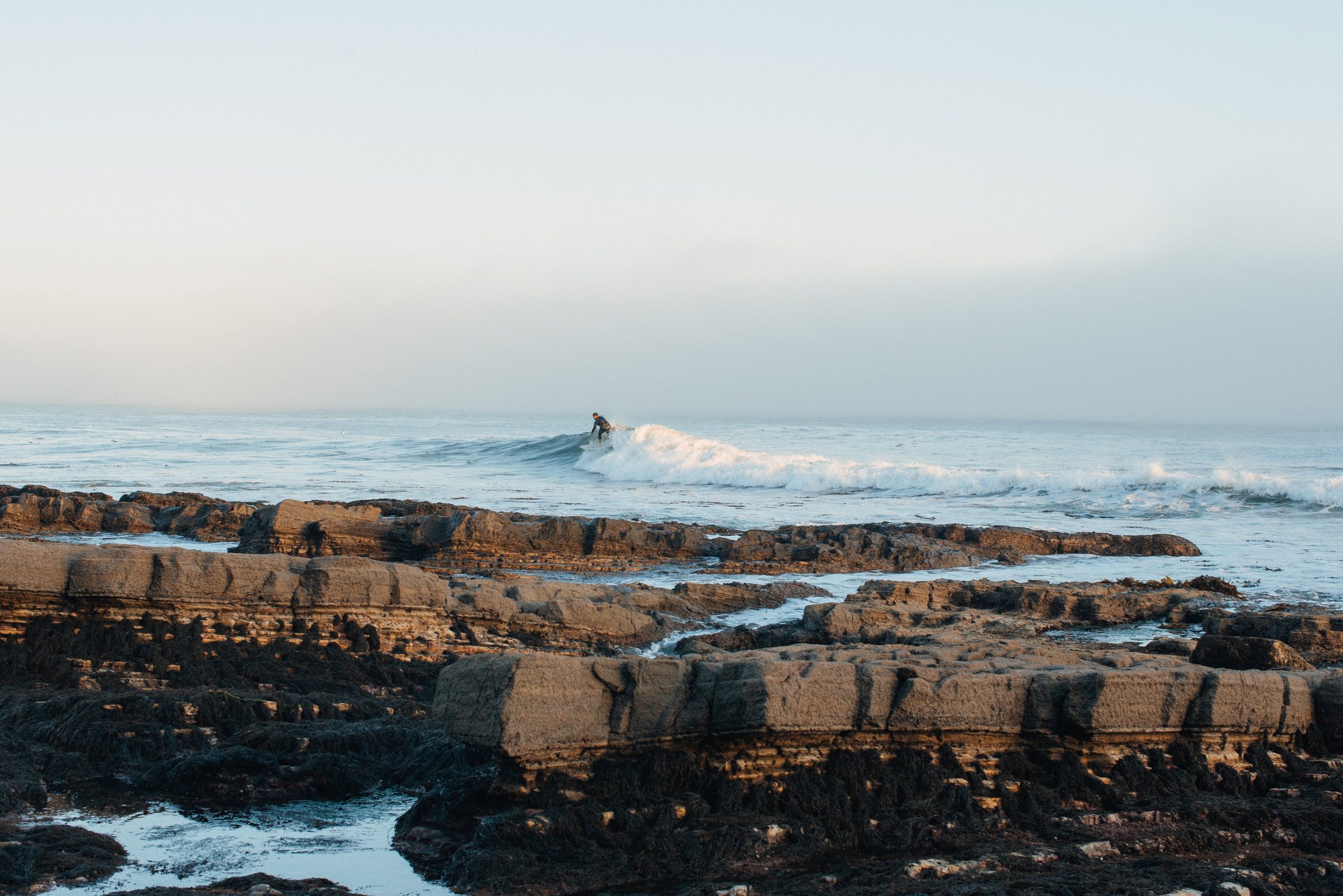 A flat shelf of brown rock at the water's edge, a lone surfer riding a wave beyond it under a pale sky.