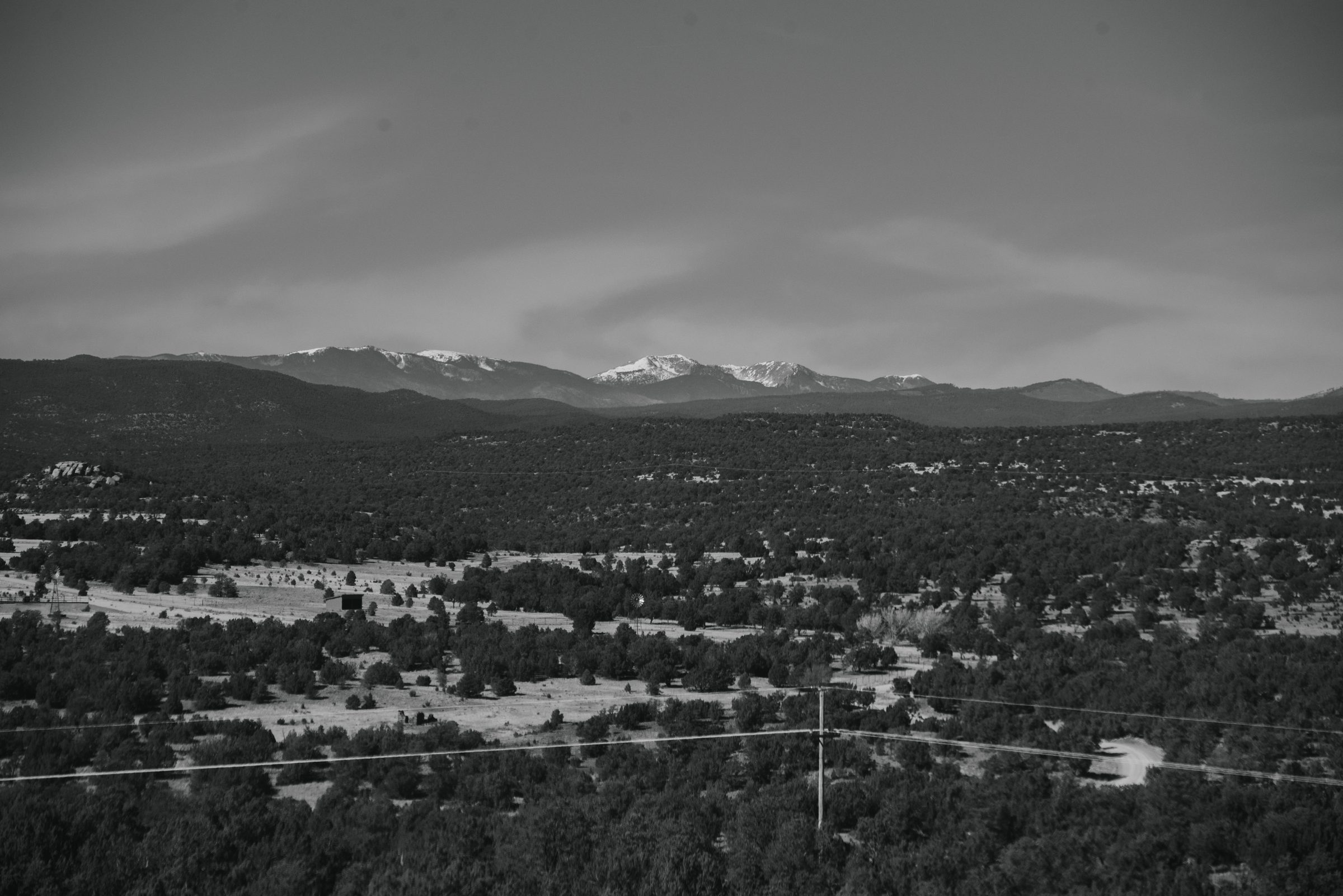 Black-and-white view over a wide valley of scrub trees toward a ridge of snow-capped mountains under a gray sky.